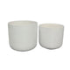 Kena Planter Set of 3 | White Ceramic | Ribbed Texture Pots | 12 10 8"