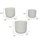 Kena Planter Set of 3 | White Ceramic | Ribbed Texture Pots | 12 10 8"