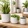 Kena Planter Set of 3 | White Ceramic | Ribbed Texture Pots | 12 10 8"