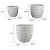 Planter Set of 3 | White Resin | Smooth Round Dotted Texture | 15 12 10"