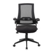 Rolling Task Chair w Flip Arms | Black Mesh | Spring Tilt Mechanism BM344455