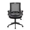 Rolling Task Chair w Flip Arms | Black Mesh | Spring Tilt Mechanism BM344455