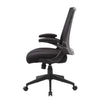 Rolling Task Chair w Flip Arms | Black Mesh | Spring Tilt Mechanism BM344455