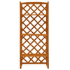 Tall Outdoor Trellis Planter | Orange Solid Wood | 55"