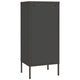 Nyla Steel Storage Cabinet | Adjustable Shelves | Anthracite
