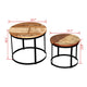 Ferns Coffee Table Set of 2 | Brown Solid Mango Wood | Black Iron