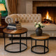 Ferns Coffee Table Set of 2 | Brown Solid Mango Wood | Black Iron