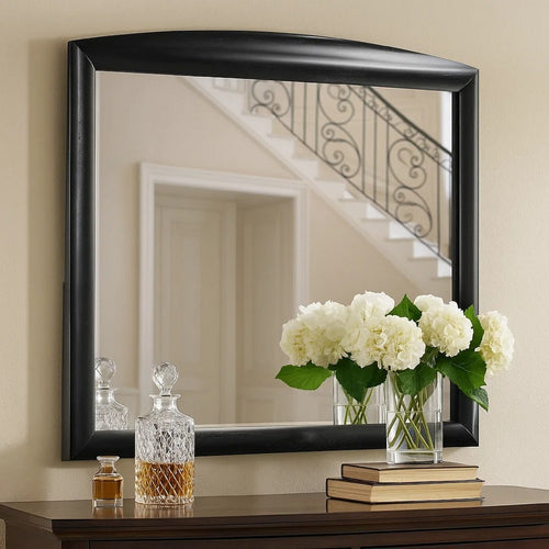 Sevy Dresser Mirror | Curved Top | Onyx Black Solid Rubberwood | 41x46