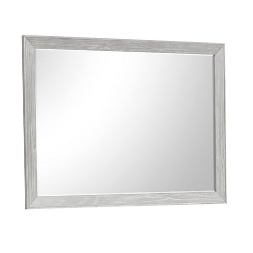 Ion Dresser Mirror | Picture Frame Molding | Mist Gray Solid Acacia Wood