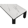 Evie 3pc Coffee and End Table Set | White Faux Marble Top | Black