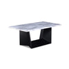 Ady 3pc Coffee and End Table Set | Rectangular White Faux Marble Top | Black