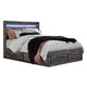 Bays Queen Size Storage Bed with 4 Drawers | Driftwood Smoke Gray | LED
