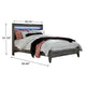 Bays Queen Size Bed | LED Panel Bookcase Headboard | Driftwood Smoke Gray