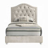 Rex Full Size Bed with Storage & Beige Button Tufted Arched Headboard