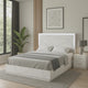 Esy Queen Size Storage Bed with LED Headboard | USB Ports | White & Silver
