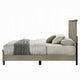 Anna Queen Bed I Panel Headboard w LED I Weathered Gray Wood I Modern Style