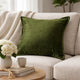 Dey Throw Pillow Cover | Deep Forest Green Velvet Luxe Shine | 20" Square