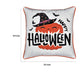 Halloween Pumpkin Witch Embroidered Throw Pillow Cover | Gray 20" Square
