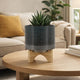 Indoor Planter on Natural Light Brown Wood Stand | 7" Gray Ceramic