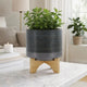 Indoor Planter on Natural Light Brown Wood Stand | 7" Gray Ceramic