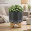 Indoor Planter on Natural Light Brown Wood Stand | 7" Gray Ceramic
