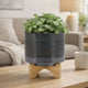 Indoor Planter on Natural Light Brown Wood Stand | 7" Gray Ceramic