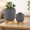 Set of 2 Indoor Planter on Natural Brown Wood Stand | 12" Gray Ceramic
