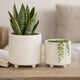 Garden Planter Set of 2 | Glossy White Diamond Patterned Ceramic Body