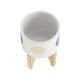 Funky Planter Set of 2 | Wood Stand | Blue Gold Stripes on White Ceramic