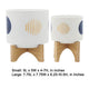 Funky Planter Set of 2 | Wood Stand | Blue Gold Stripes on White Ceramic