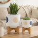 Funky Planter Set of 2 | Wood Stand | Blue Gold Stripes on White Ceramic