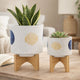 Funky Planter Set of 2 | Wood Stand | Blue Gold Stripes on White Ceramic