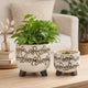 Garden Footed Planter Set of 2 | Black Scribble Pattern | Beige Ceramic