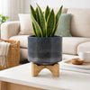 Indoor Planter with Wood Stand | Slate Gray Dotted Ceramic | 10"