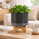 Indoor Planter with Wood Stand | Slate Gray Dotted Ceramic | 10"