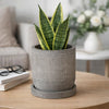 Indoor Planter with Saucer | White Line Pattern | 6" Gray Cement