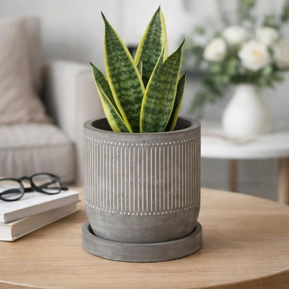 Indoor Planter with Saucer | White Line Pattern | 6" Gray Cement