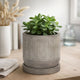 Indoor Planter with Saucer | White Line Pattern | 6" Gray Cement