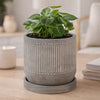Indoor Planter with Saucer | White Line Pattern | 6" Gray Cement