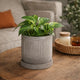 Indoor Planter with Saucer | White Line Pattern | 6" Gray Cement