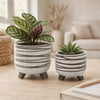Indoor Planter Set of 2 | Footed Base | Textured Line White Ceramic