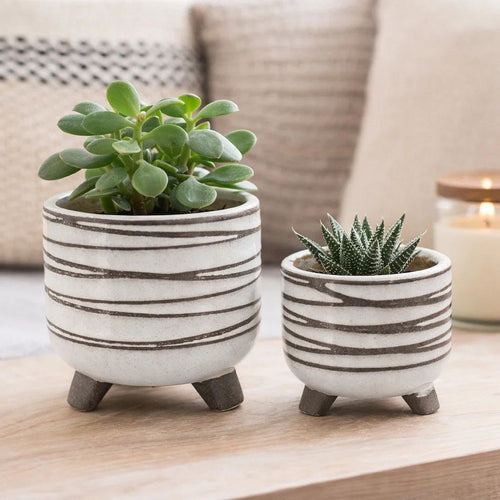 Indoor Planter Set of 2 | Footed Base | Textured Line White Ceramic