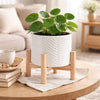 Indoor Garden Planter with Wood Stand | White Chevron Pattern 6"