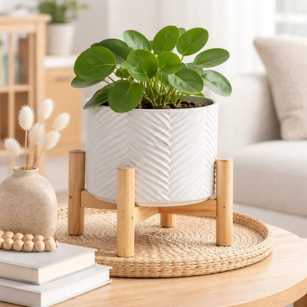 Indoor Garden Planter with Wood Stand | White Chevron Pattern 6"