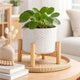 Indoor Garden Planter with Wood Stand | White Chevron Pattern 6"