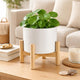 Indoor Garden Planter with Wood Stand | White Chevron Pattern 6"