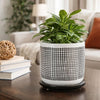 Indoor Mesh Planter with Saucer | 6" White Gray Textured Ceramic