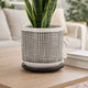 Indoor Mesh Planter with Saucer | 6" White Gray Textured Ceramic