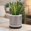 Indoor Mesh Planter with Saucer | 6" White Gray Textured Ceramic