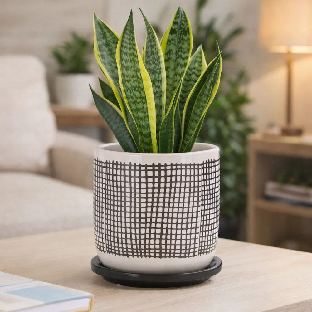 Indoor Mesh Planter with Saucer | 6" White Gray Textured Ceramic